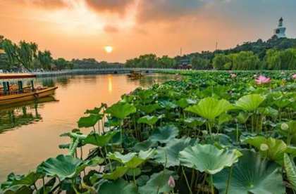 夏天钓鱼钓深水还是浅水 夏天钓鱼四钓与四不钓_WWW.YUJUCEPING.COM