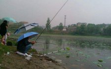 夏天下雨怎么选择钓点