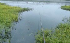 夏天雨后野钓选择钓点的技巧