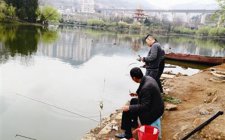 夏天水库手竿钓马口鱼的技巧