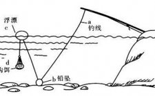 海竿浮漂组装图解