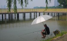 夏天野钓水库怎么针对大鱼