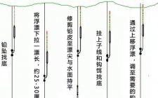 水库钓草鱼调漂技巧