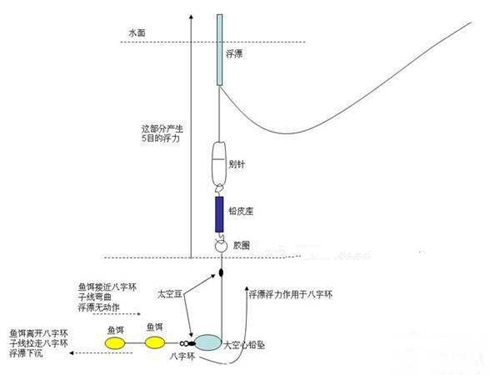 双坠单跑铅钓法防止闹窝_WWW.YUJUCEPING.COM