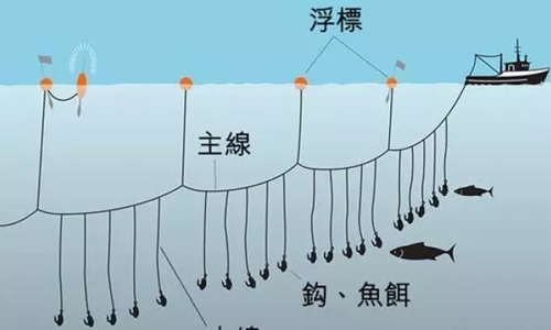 金枪鱼系统捕捞方法_WWW.YUJUCEPING.COM