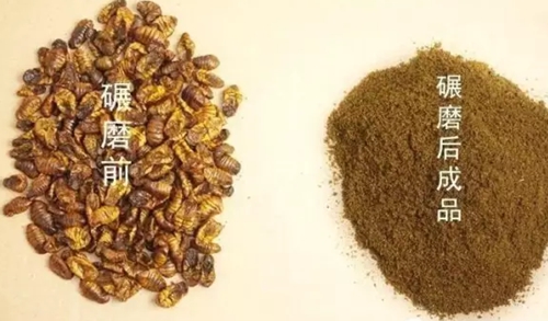 特效钓鱼小药蚕蛹粉的制作方法_WWW.YUJUCEPING.COM