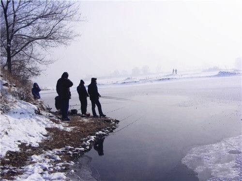 冬钓鲤鱼怎么选择最佳时间_WWW.YUJUCEPING.COM