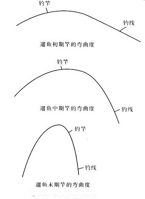 溜鱼防止断竿的技巧_WWW.YUJUCEPING.COM