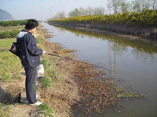 野钓截口鲫鱼的方法_WWW.YUJUCEPING.COM