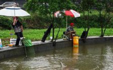 浅谈夏天钓鱼禁忌