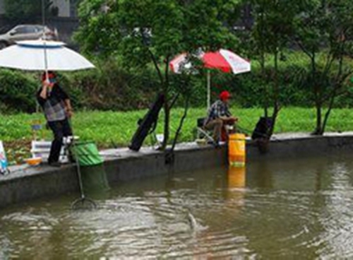 浅谈夏天钓鱼禁忌_WWW.YUJUCEPING.COM