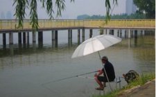 雨季怎么选择合适的钓鱼时间