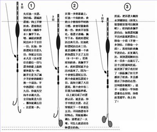 夏天钓鱼漂怎么调图解_WWW.YUJUCEPING.COM