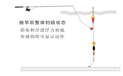 传统钓技巧和特点_WWW.YUJUCEPING.COM