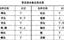 筏钓鱼层怎么找