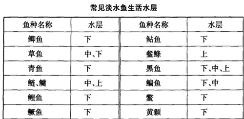 筏钓鱼层怎么找_WWW.YUJUCEPING.COM