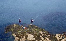 海矶钓钓点大全