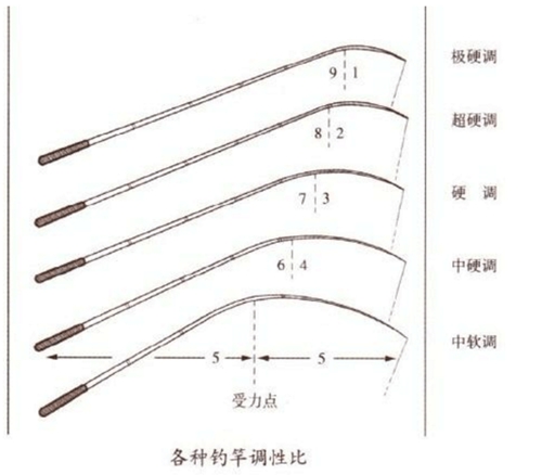 鱼竿37调28调是什么意思_WWW.YUJUCEPING.COM