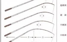 鱼竿调性及怎么选用