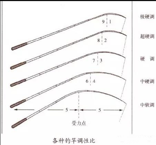 鱼竿调性及怎么选用_WWW.YUJUCEPING.COM