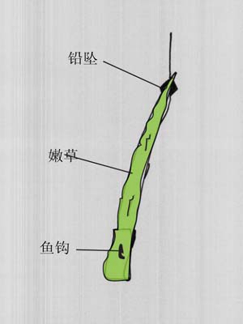 钓草鱼青草怎么挂钩_WWW.YUJUCEPING.COM