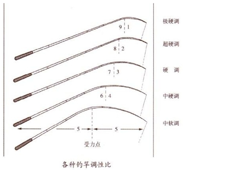 鱼竿调性怎么定义_WWW.YUJUCEPING.COM