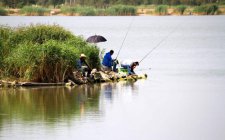 江河湖泊野钓翘嘴的方法和技巧