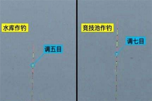 竞技钓小鲫鱼速钓的技巧_WWW.YUJUCEPING.COM