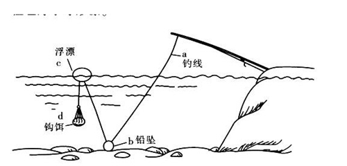 浮钓的特点_WWW.YUJUCEPING.COM