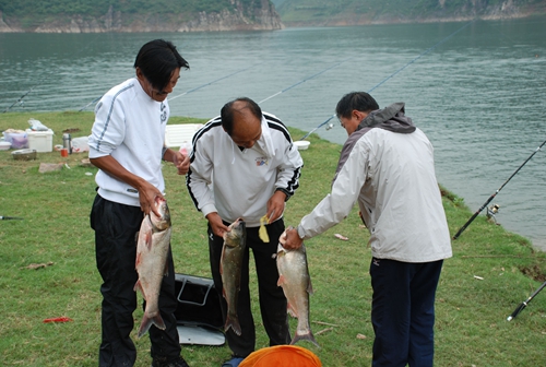 钓鲢鳙咬钩的浮漂特征_WWW.YUJUCEPING.COM