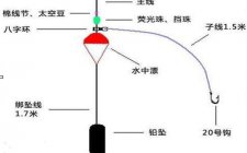 海钓鲈鱼的钓组和钓线方法