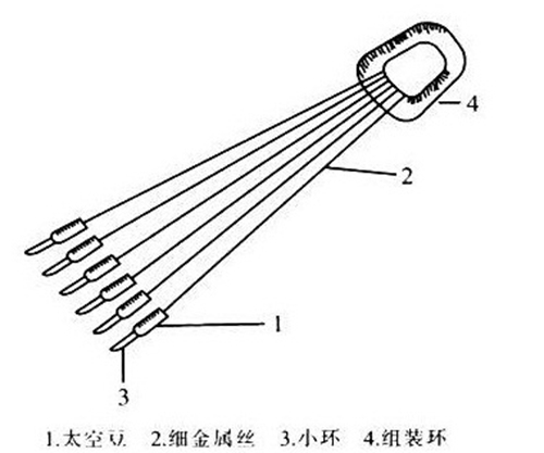 太空豆是干什么用的_WWW.YUJUCEPING.COM