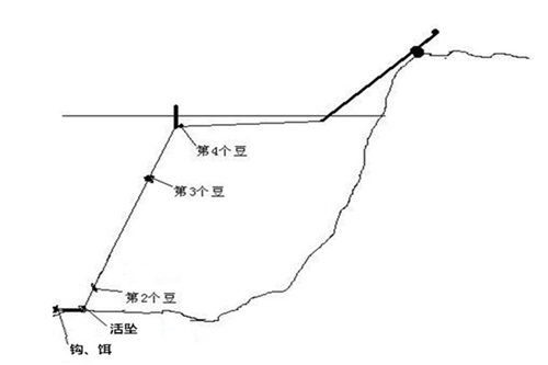 淡水矶竿怎么钓草鱼鲤鱼_WWW.YUJUCEPING.COM