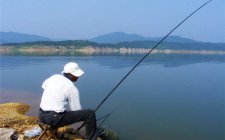 浅谈野钓调漂的技巧