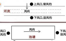 刮风天钓鲫鱼的技巧