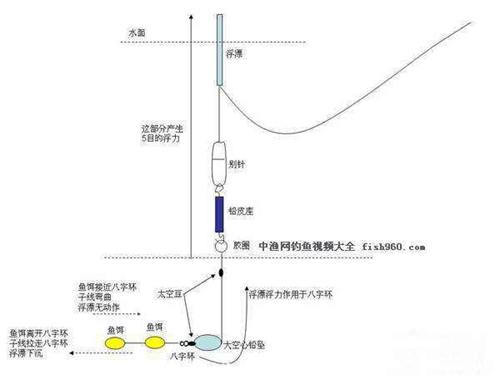 小杂鱼闹窝怎么办_WWW.YUJUCEPING.COM