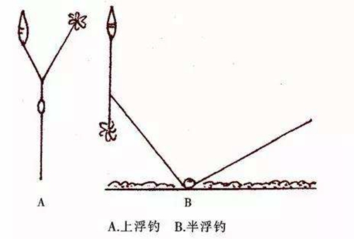 钓鳊鱼的几个技巧_WWW.YUJUCEPING.COM