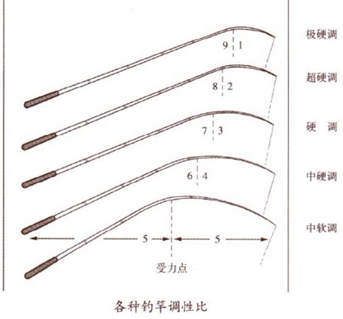 鱼竿的调性是什么意思_WWW.YUJUCEPING.COM