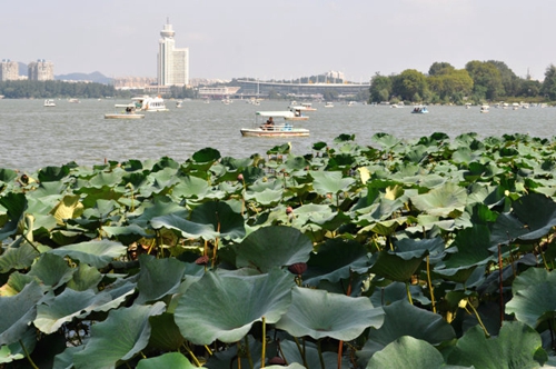 鱼在水层中变化的原因有哪些_WWW.YUJUCEPING.COM