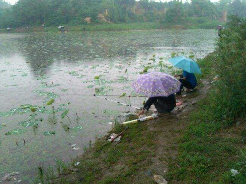 下雨天可以钓鱼吗_WWW.YUJUCEPING.COM