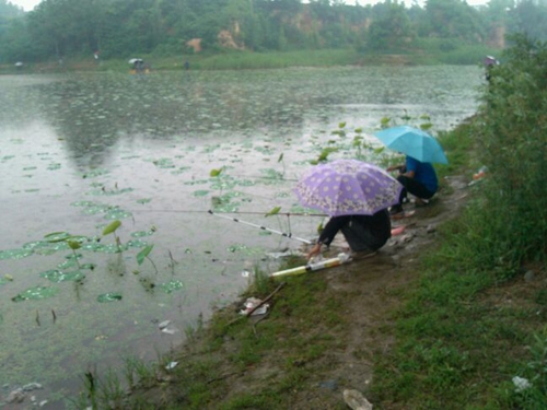 下雨钓鱼怎么样注意事项_WWW.YUJUCEPING.COM