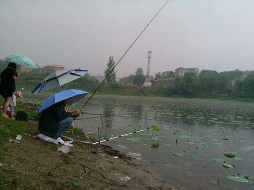 夏天溪流钓马口鱼有什么技巧_WWW.YUJUCEPING.COM