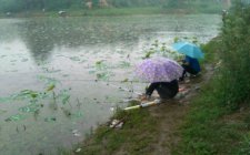 雨天钓鱼的技巧