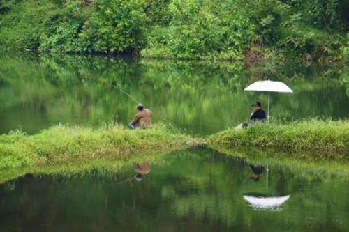 夏天闷热多雨怎么钓鲫鱼_WWW.YUJUCEPING.COM