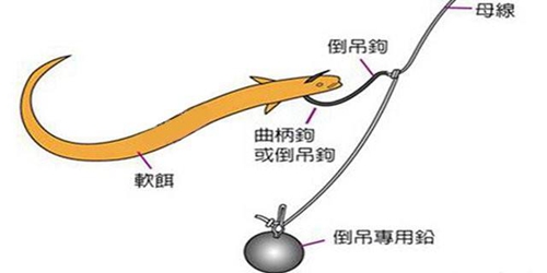 路亚钓组制作方法图解_WWW.YUJUCEPING.COM