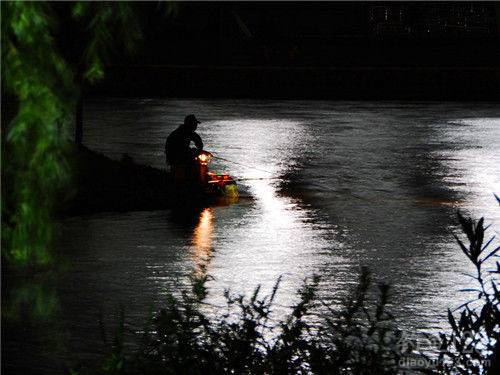 夏天水库夜钓鲫鱼的几个技巧_WWW.YUJUCEPING.COM