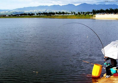 夏天水库野钓怎么避开杂鱼_WWW.YUJUCEPING.COM