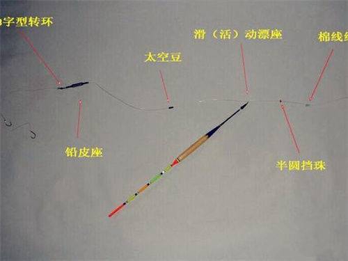 夏天水库野钓鲢鳙的技巧_WWW.YUJUCEPING.COM