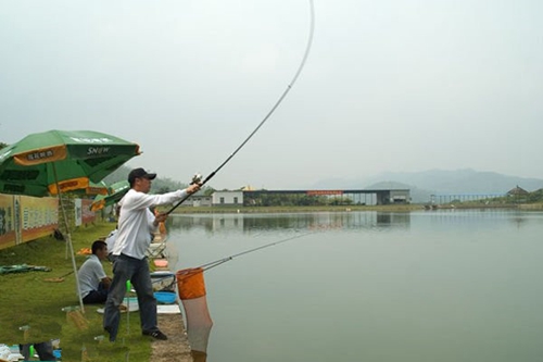 夏天钓鲢鳙的关键技巧_WWW.YUJUCEPING.COM