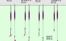 钓鲤鱼怎么调漂方法
